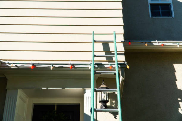 Best Fascia and Soffit Installation  in USA